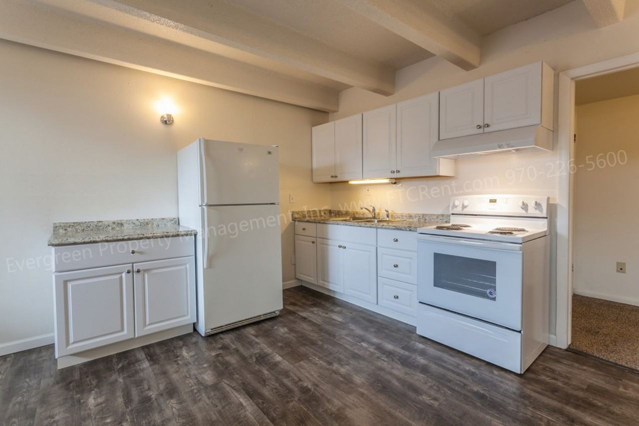 1109 Alford Fort Collins, CO - Photo 6 of 17