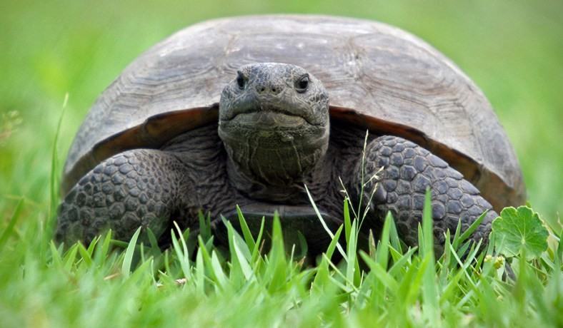 2468 Fawn Run #1 - Photo 6 of 17