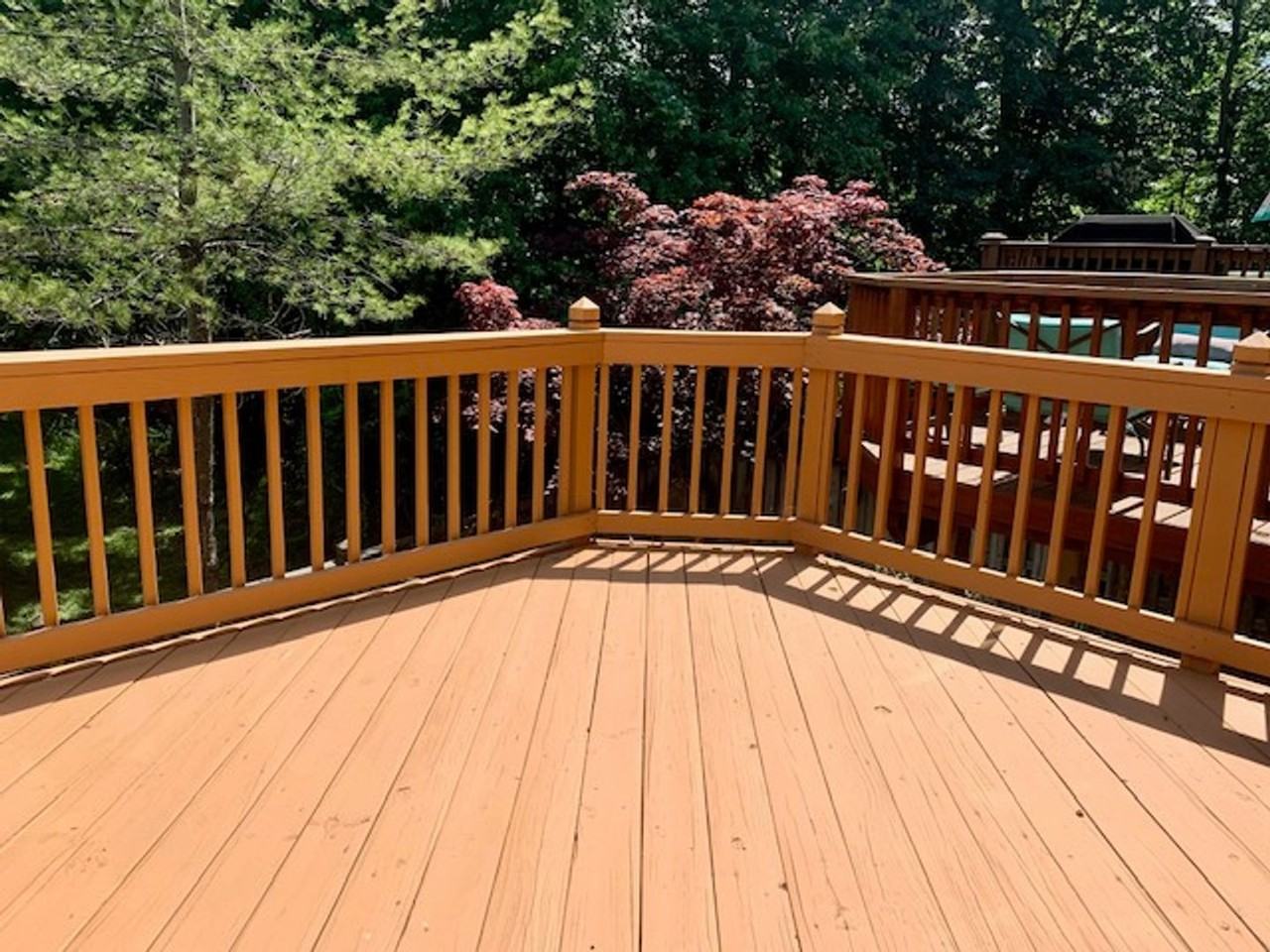 3207 Water Lily Ct - Photo 7 of 36