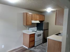 featured image of 345 N 5th St ##60