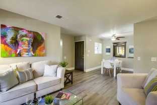 29605 Solana Way - Photo 1 of 1