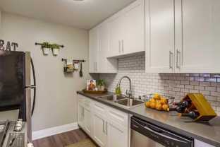 29605 Solana Way - Photo 1 of 1