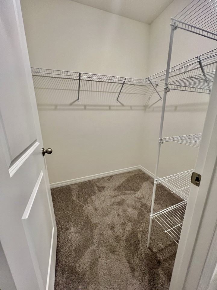 32557 Turtle Grace Loop #1 - Photo 6 of 35