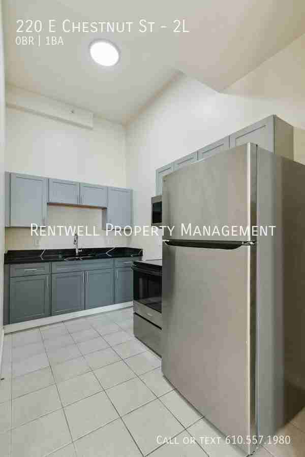 220 E Chestnut St #2L - Photo 2 of 17