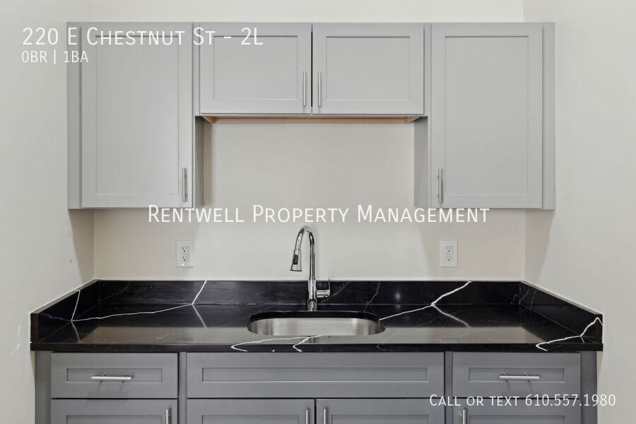 220 E Chestnut St #2L - Photo 3 of 17