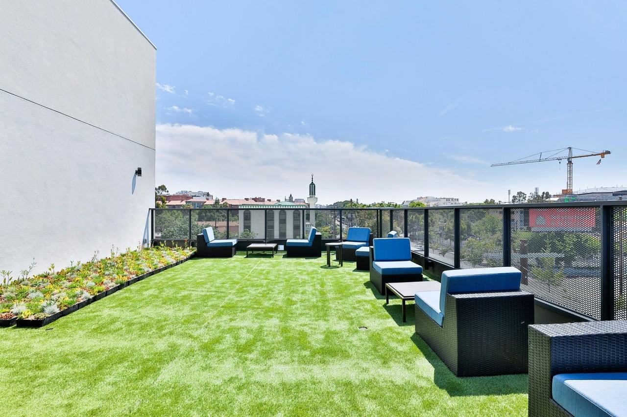 Draco Apartments - Photo 5 of 50