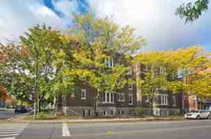 featured image of 223 Av Melville
