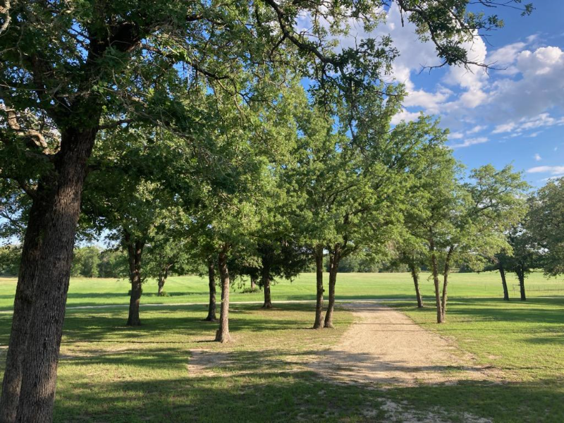 910 Perry Ln - Photo 2 of 23