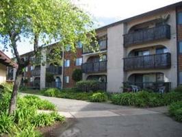 featured image of 375 Clifford Ave #316