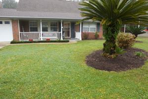 featured image of 31 Driftwood Ave Sw