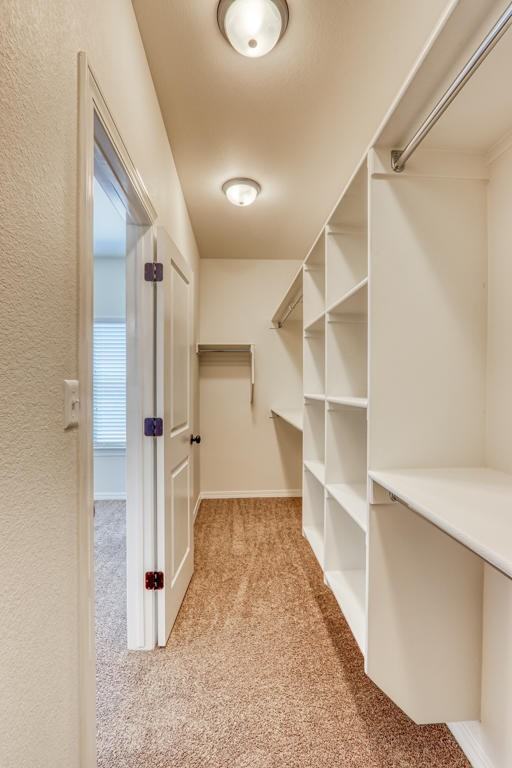 14334 Loma Esmeralda Dr - Photo 7 of 44