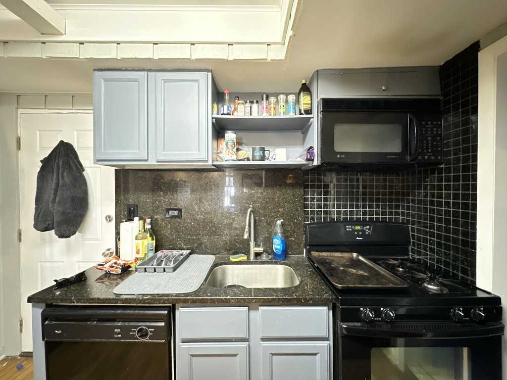 2141 W Webster Ave #BF - Photo 4 of 21