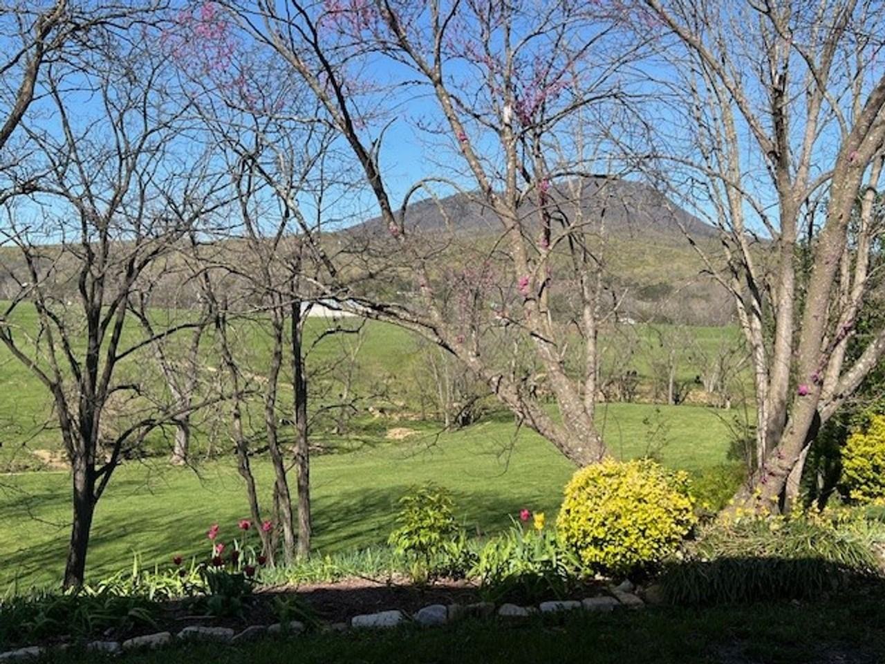 5908 W Donnagail Dr - Photo 3 of 32