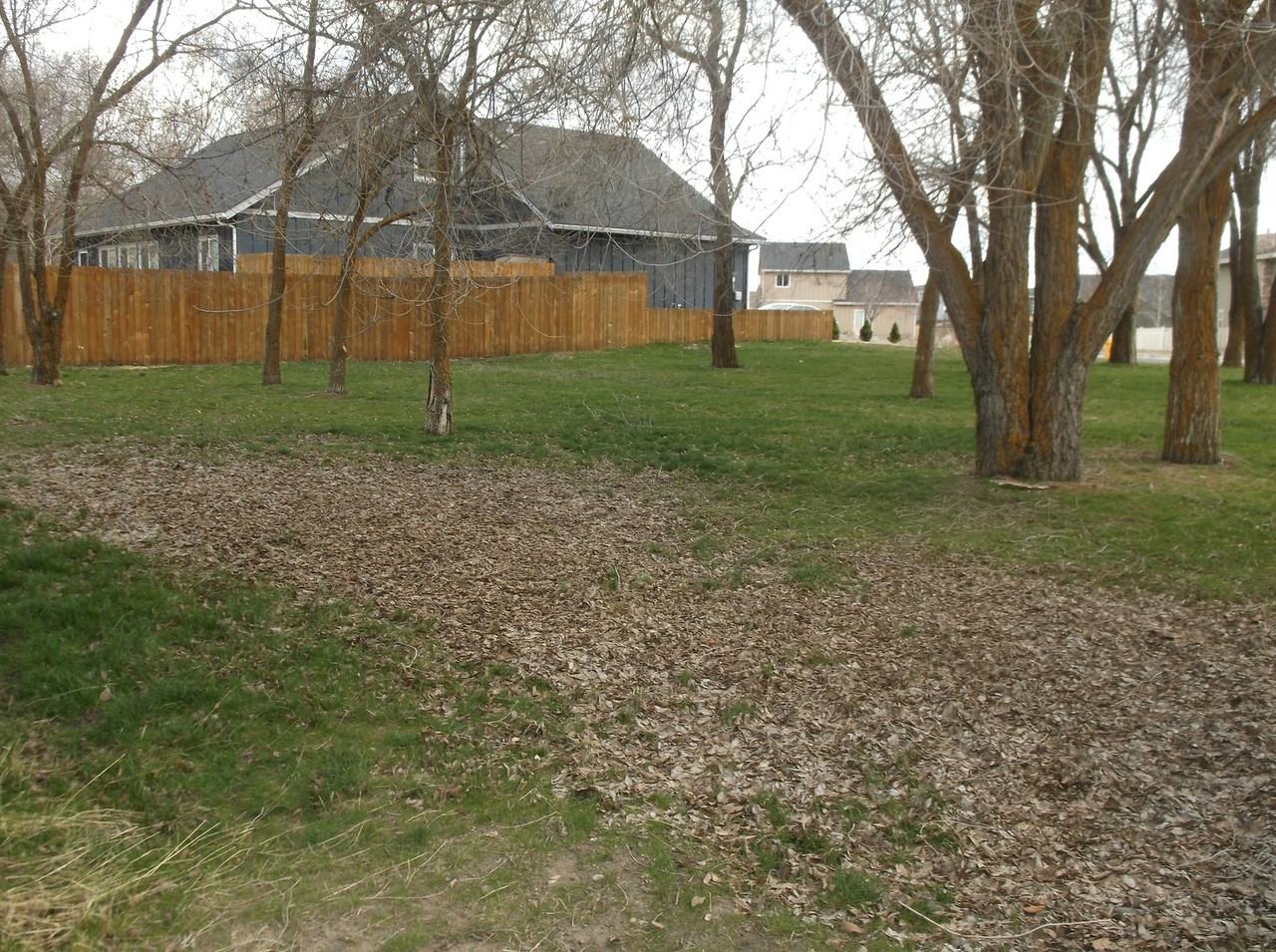 812 W Oregon Ave - Photo 5 of 14