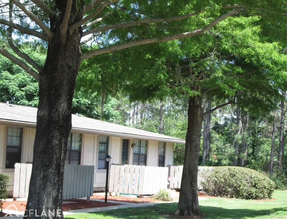 Branchwood - Photo 3 of 4