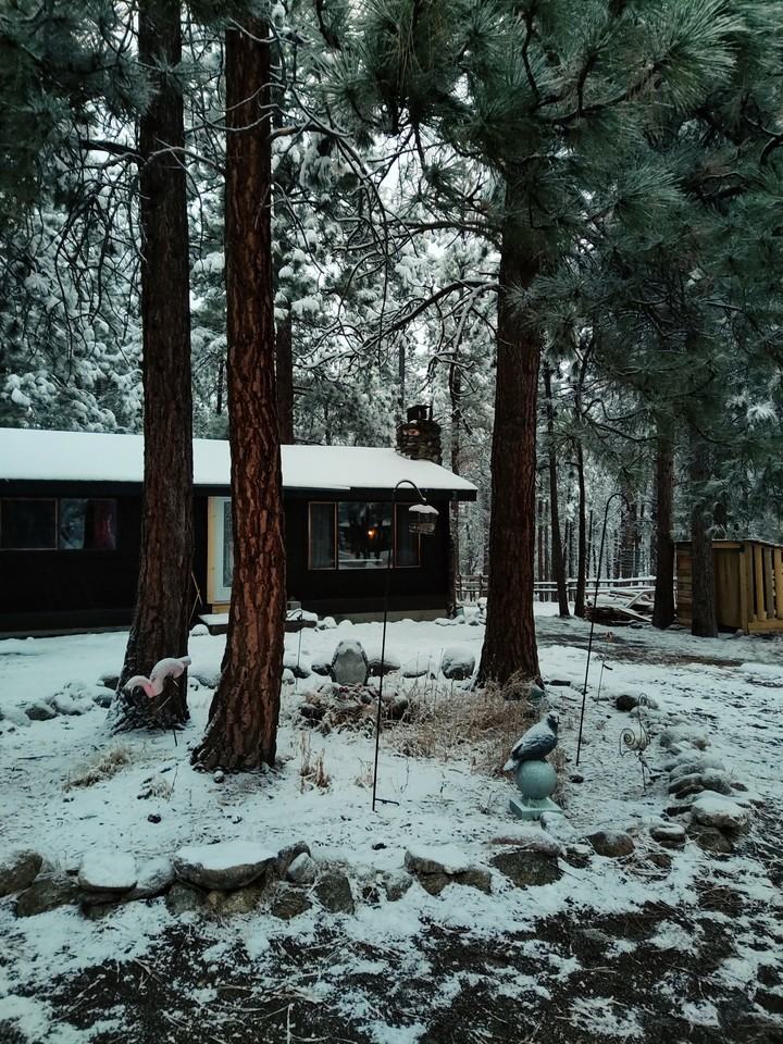 1834 Mountain Meadow Ln #NA - Photo 3 of 21