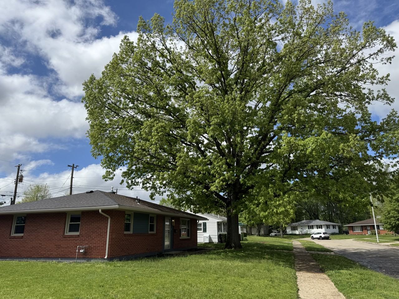 2144 Mountview Circle - Photo 2 of 21