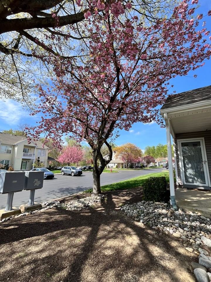 3301 Atkinson Pl - Photo 3 of 20