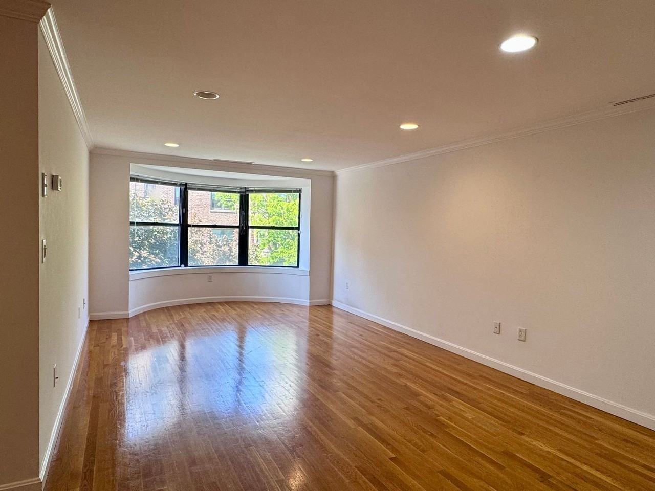 45 Peterborough Street - Photo 2 of 13