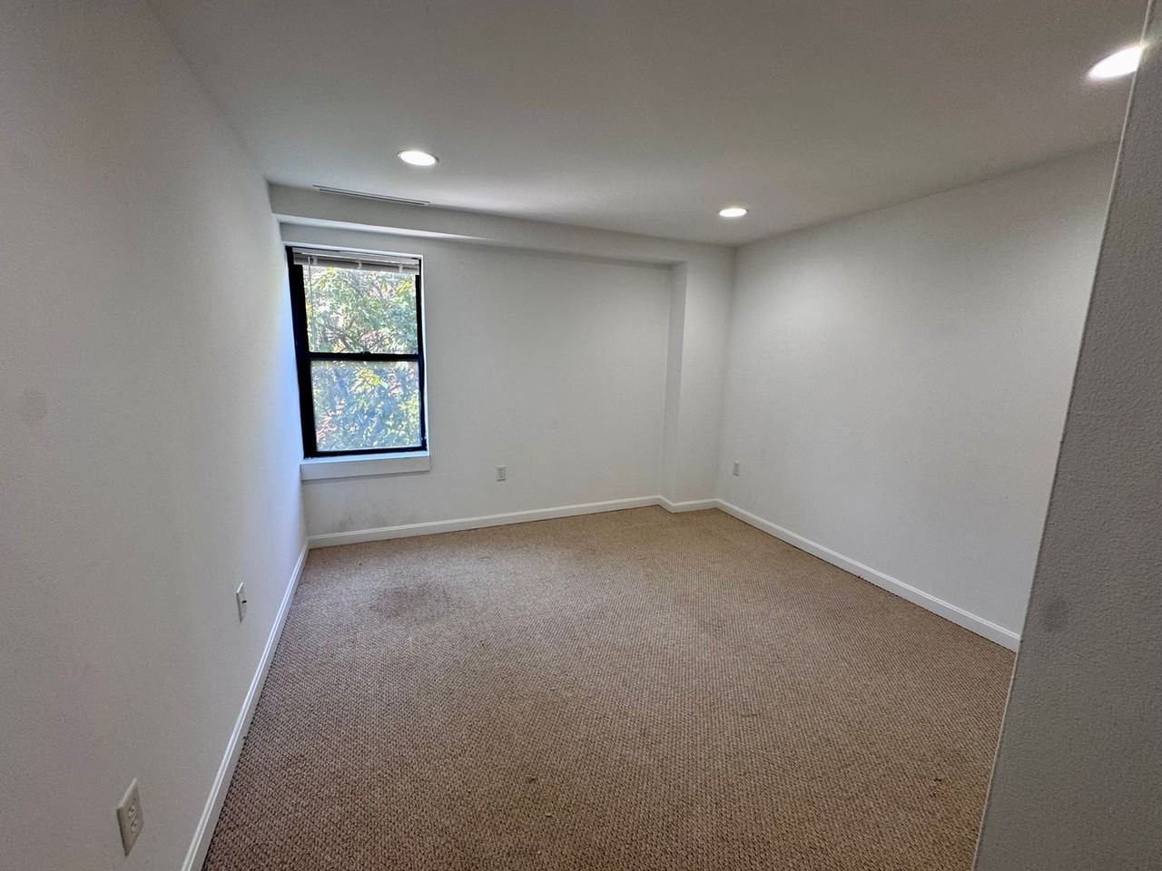 45 Peterborough Street - Photo 6 of 13