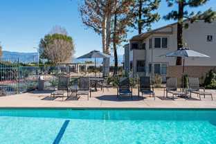 1369 North Willow Avenue - Photo 1 of 1