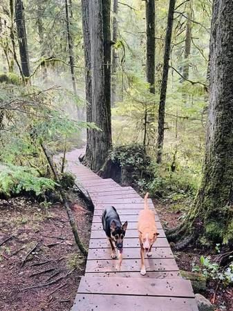 658 Seymour Boulevard - Photo 2 of 18