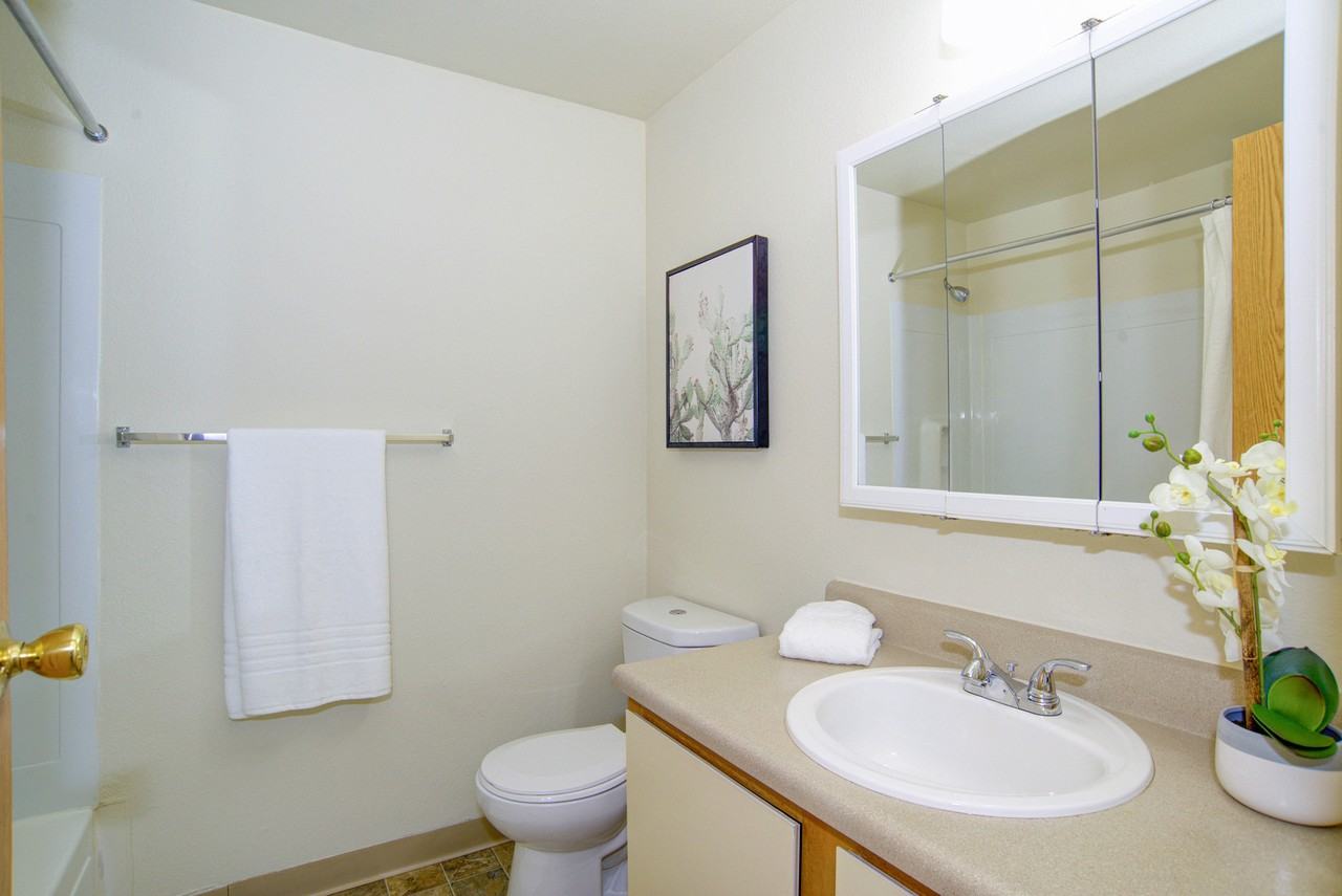 Willow Court Apartments - Photo 7 of 50