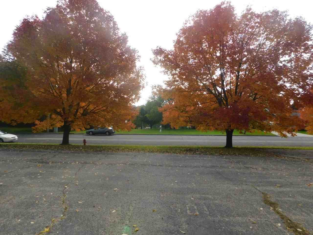 Fox Lake - Photo 5 of 13