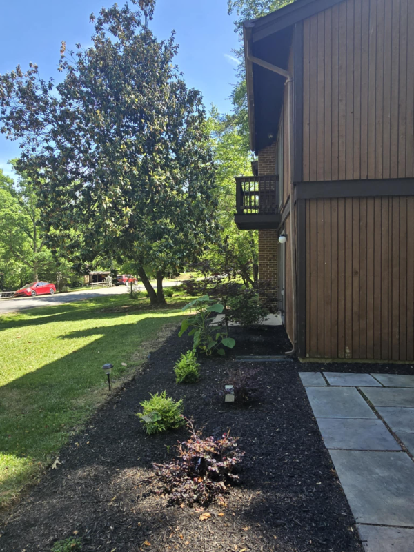 6277 Occoquan Forest Dr - Photo 2 of 16