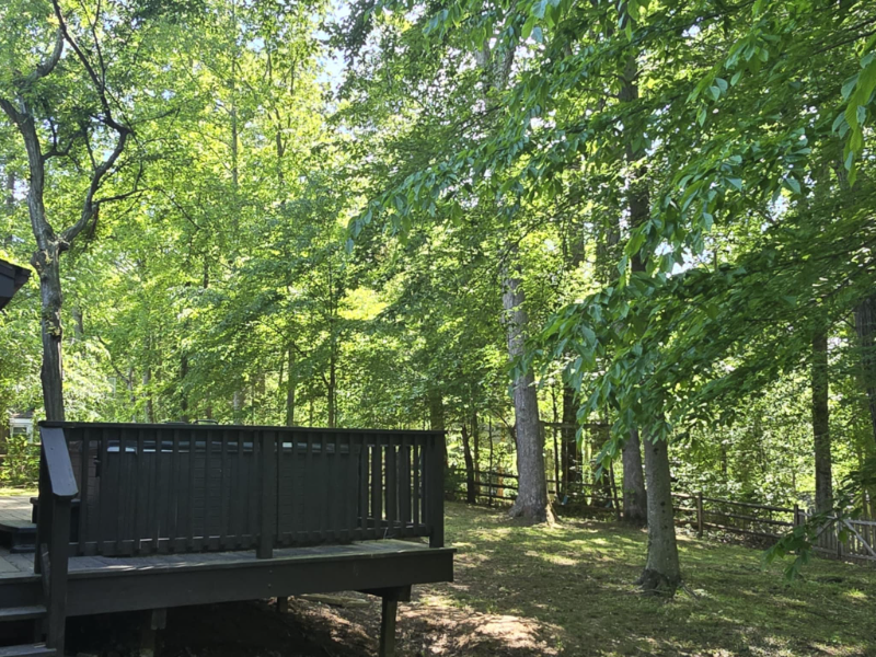 6277 Occoquan Forest Dr - Photo 3 of 16