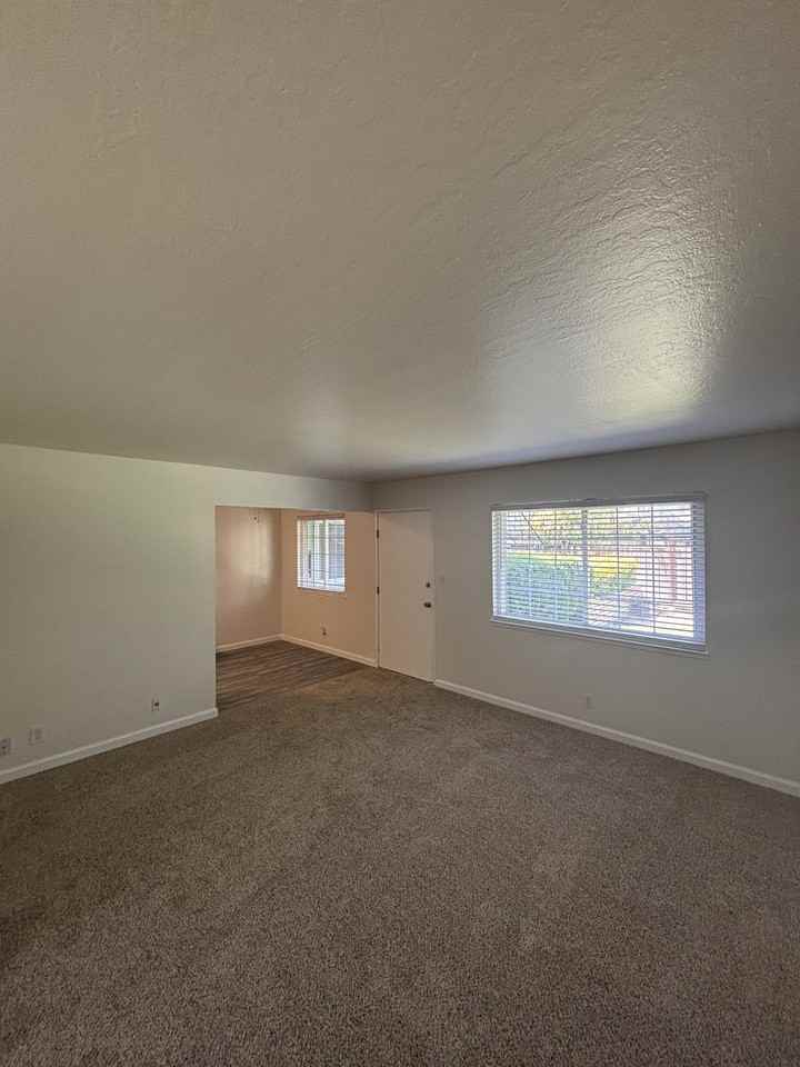 Huff - Photo 4 of 11