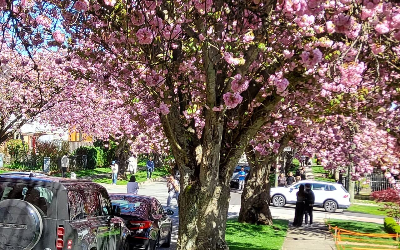 3070 East 7th Avenue - Photo 3 of 56