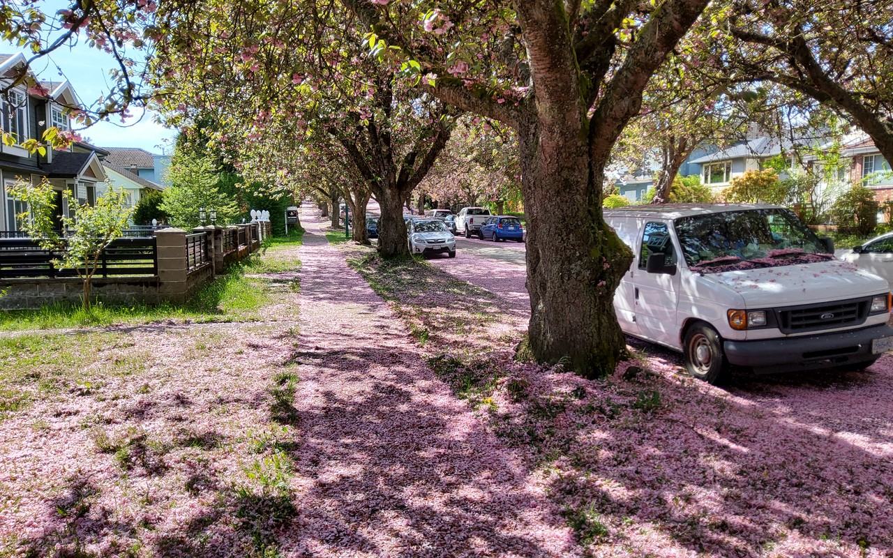 3070 East 7th Avenue - Photo 5 of 56