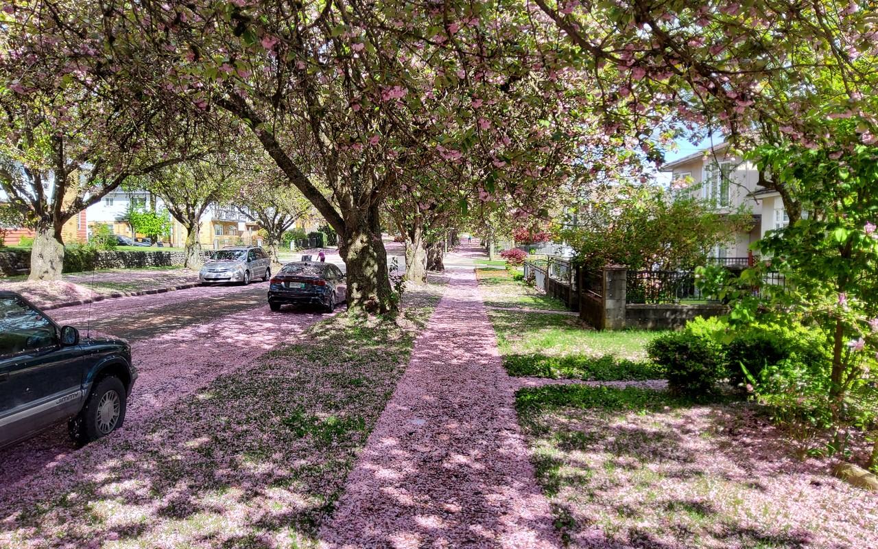 3070 East 7th Avenue - Photo 6 of 56