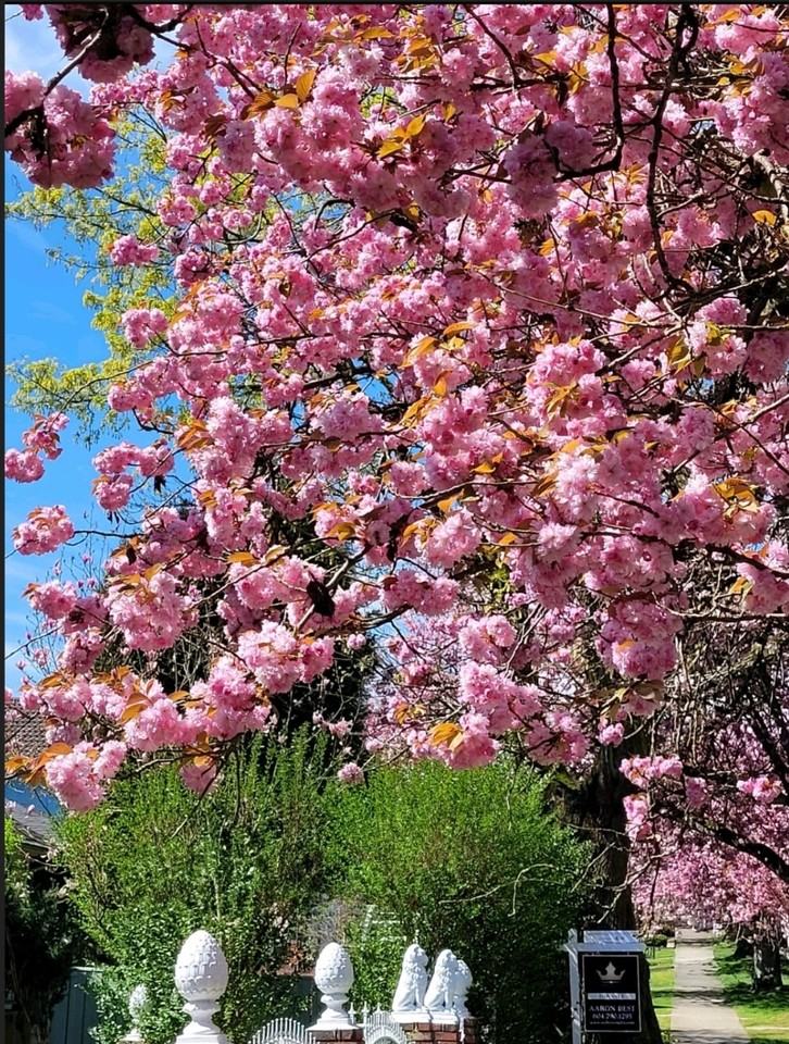 E Broadway & Rupert St - Photo 5 of 53