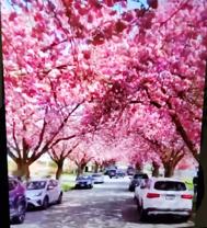 E Broadway & Rupert St - Photo 1 of 1