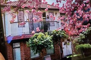 featured image of E Broadway & Rupert St