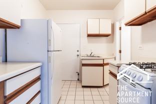 817 W Cornelia Ave #306 - Photo 1 of 1