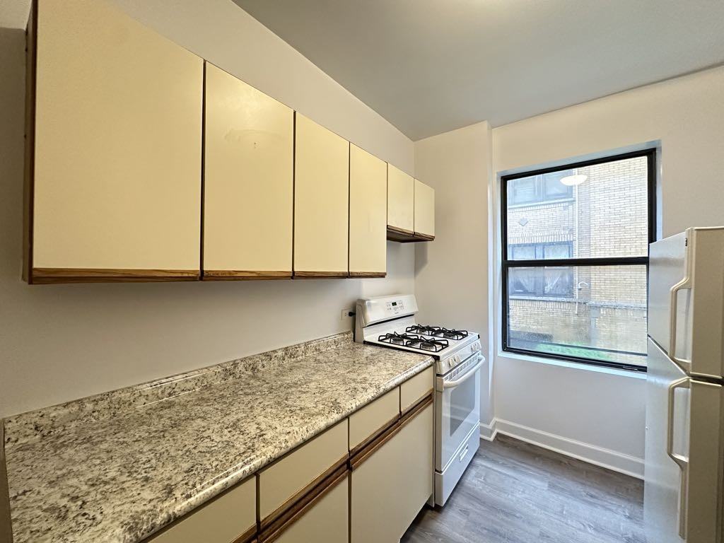 1530 N Kedzie Ave #1B - Photo 3 of 21