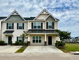 234 Swallowtail Ln - Photo 1 of 1