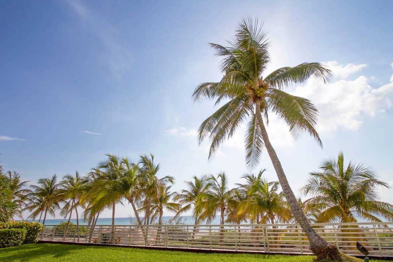 5151 Collins Ave #1227341P - Photo 4 of 28