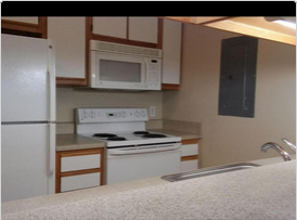 1351 Crab Orchard Drive #302 - Photo 3 of 4