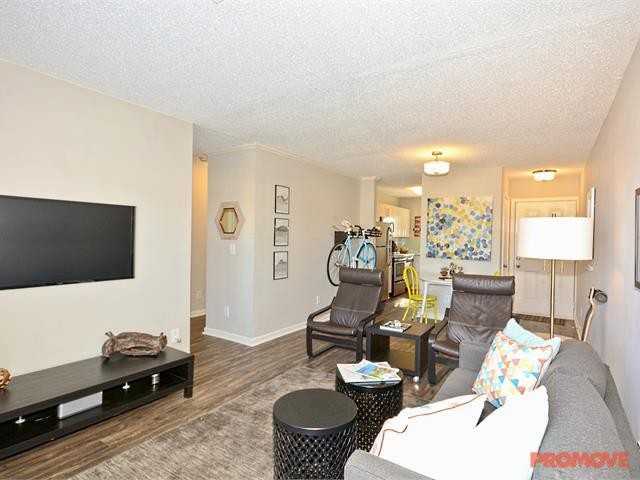 Avery - Photo 2 of 10