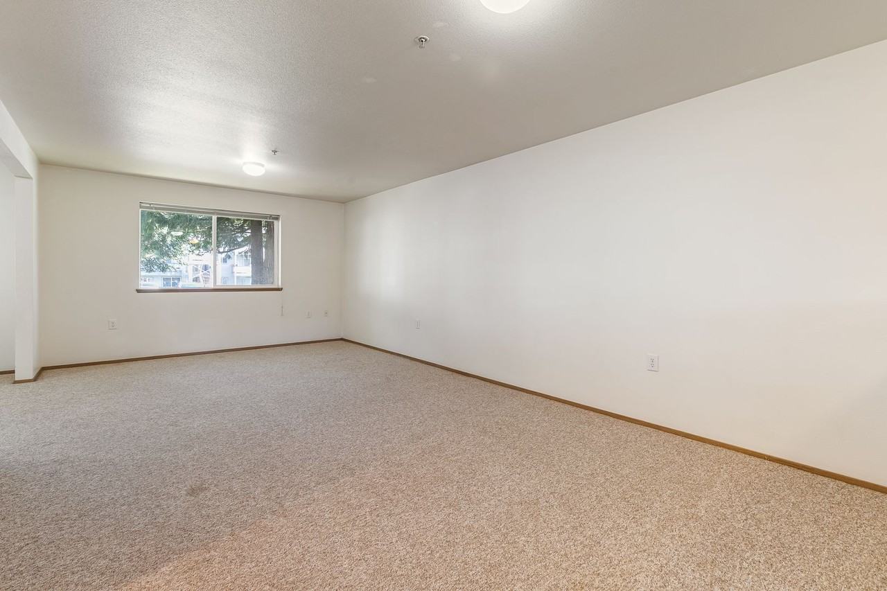 Sehome View Apartments – Timeless Comfort & Modern Convenience in the Heart of Bellingham - Photo 6 of 19