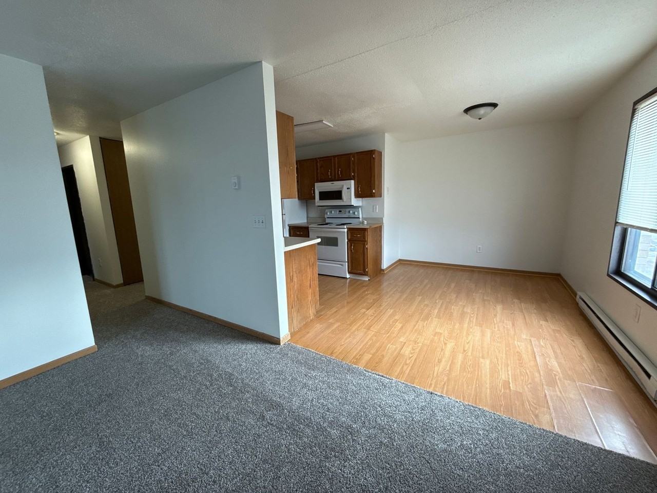 1310 28th Ave S - Photo 4 of 22