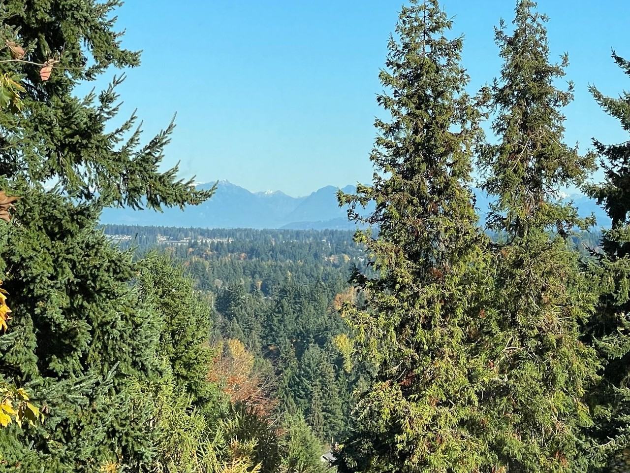 4738 Ne 193rd St - Photo 2 of 17