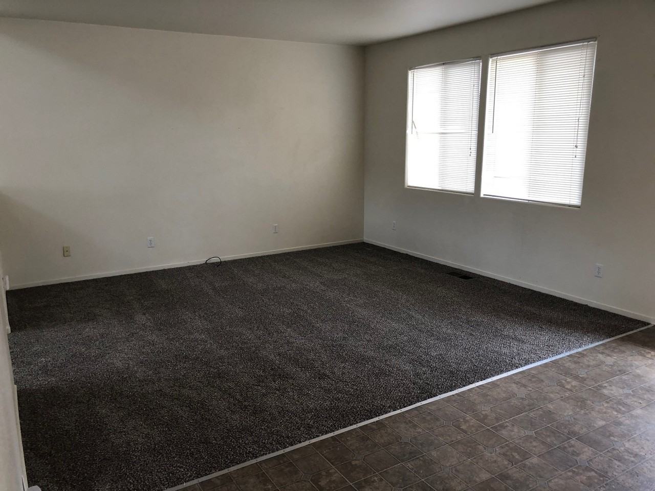 5875 Blue Canyon Dr - Photo 4 of 16