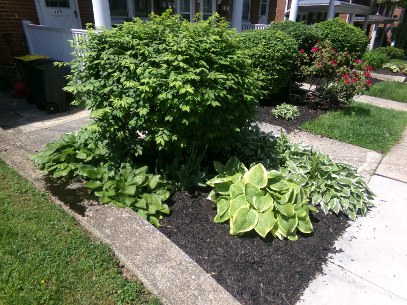 324 S West End Ave 1st Fl #2-1stFL - Photo 3 of 17