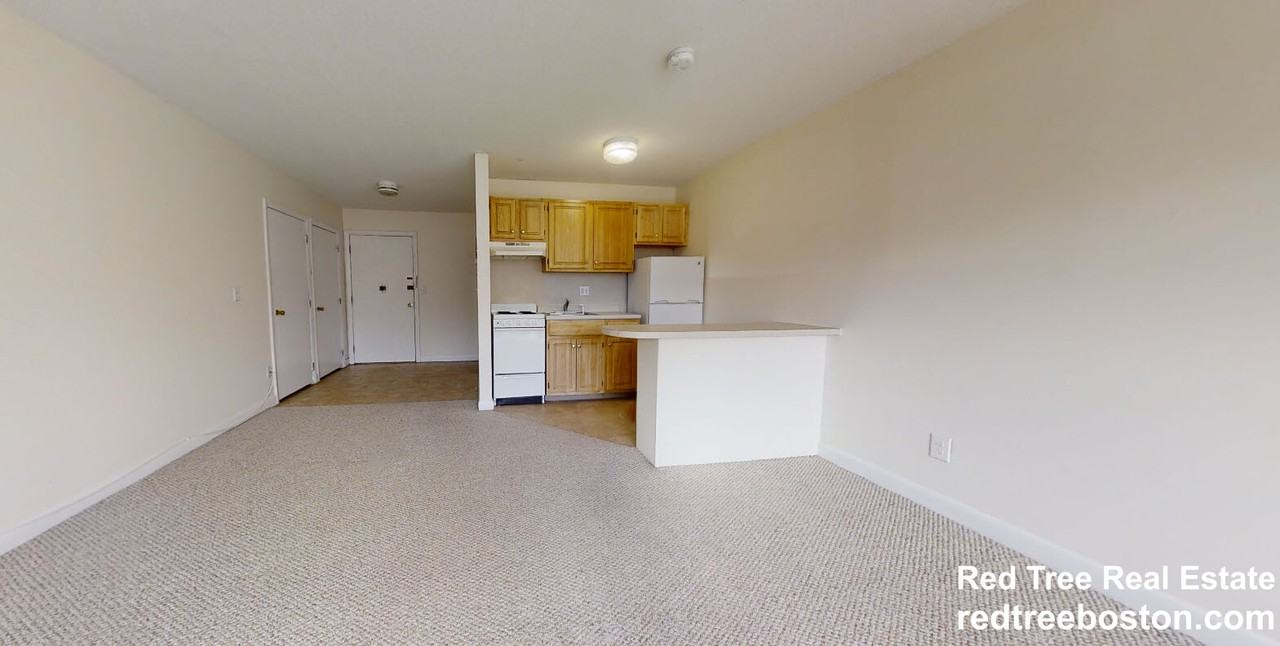 66 Homer Ave #401 - Photo 3 of 8