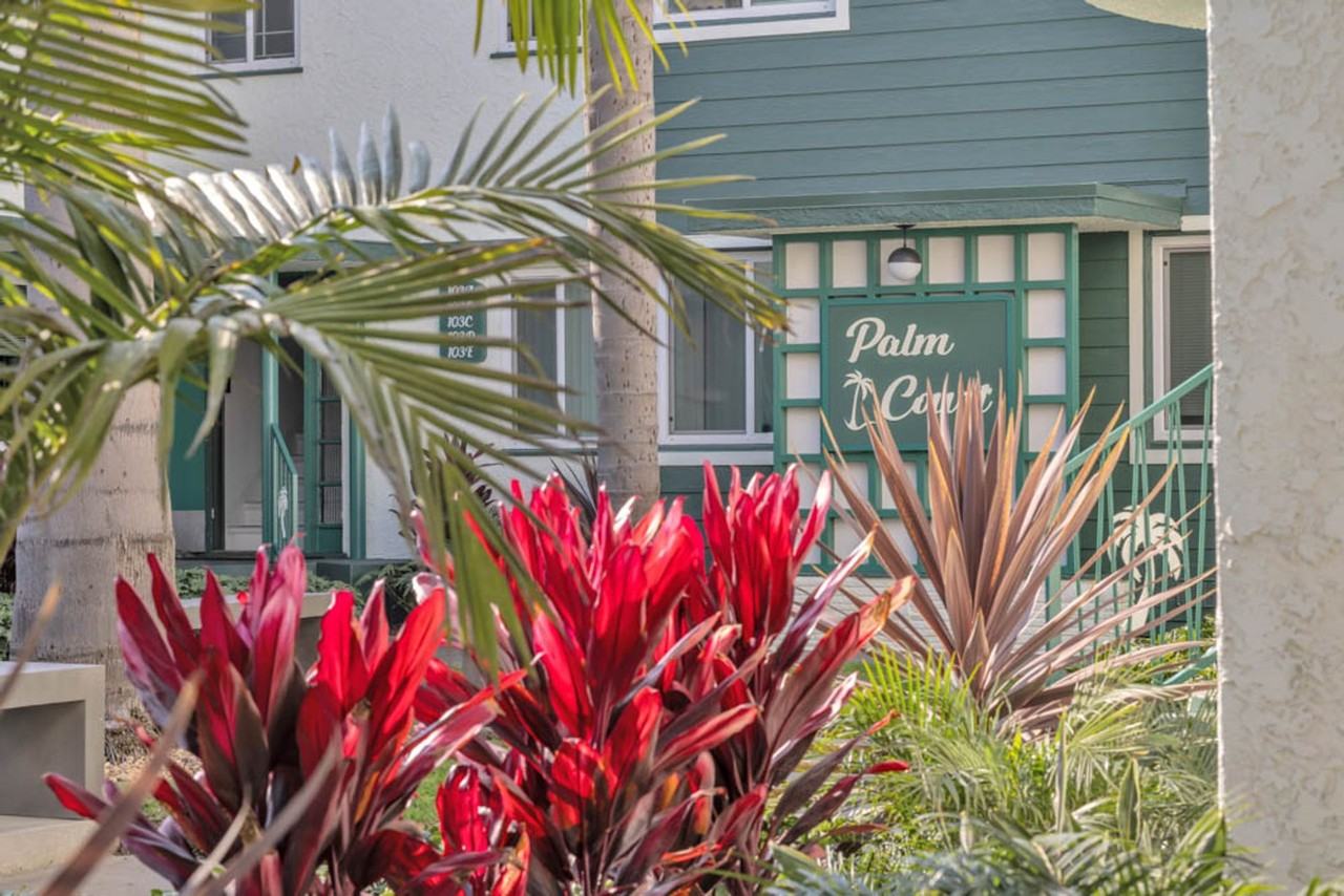 Palm Court - Photo 4 of 4